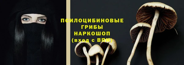 прущая мука Арсеньев